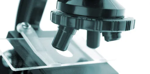 Microscope