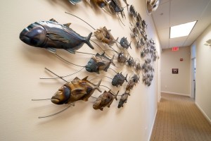 hallway entrance with decorative fish on the walls